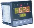 TDS5000系列智能温度监测报警仪