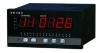 TDS5800系列多点巡回检测报警仪